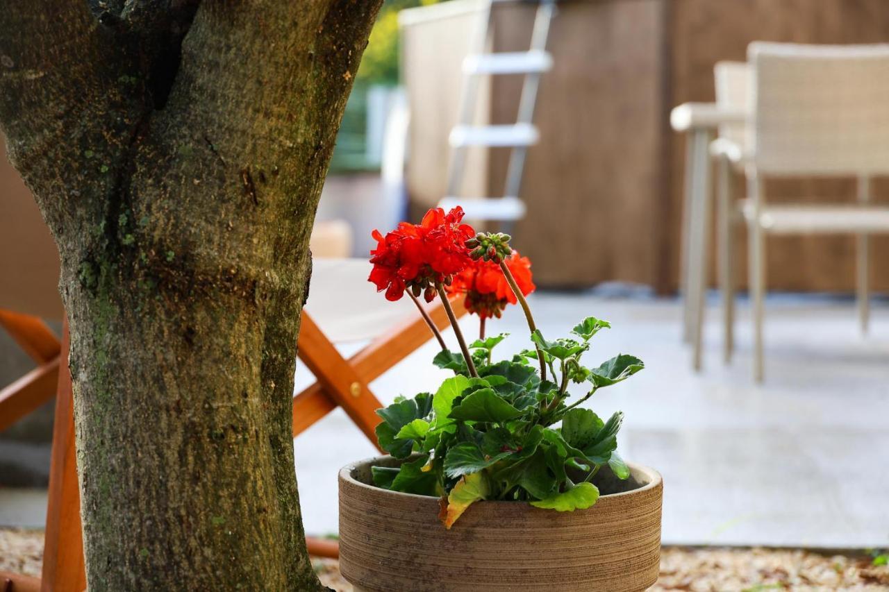 Zadar, The Florens - Near The With The New Pool & Garden, Bbq And Kids Playground